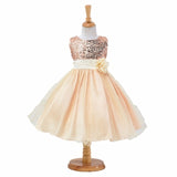 1-14 yrs teenagers Girls Dress Wedding Party Princess Christmas Dresse for girl Party Costume Kids Cotton Party girls Clothing